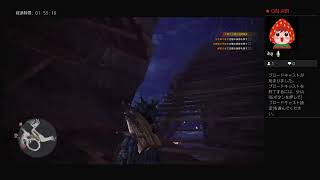 モンスターハンター　ワールド　＃11 まったり探検＾＾