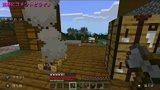 まったり過ごしませんか？【Minecraft】【マインクラフト】