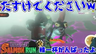 【スプラトゥーン2】穏やかではいられないサーモンランｗ