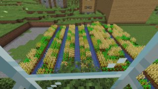 マインクラフト］早送り