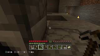 [くじクラ]くじらのまったりマインクラフト♪＃2