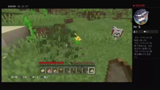 マインクラフトまいく無し