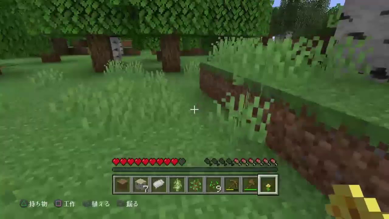 Karen_5024がPS4からブロードキャストマインクラフト！！