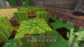 マインクラフト　0002