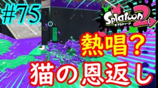 【スプラトゥーン2実況】猫に恩返しをしたくて、風になるを熱唱した男【ケルビン525デコ】【全武器合計722キル列伝 #75】