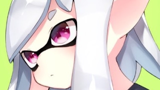 【スプラトゥーン2】サーモンラン　15時まで【初見さん歓迎】