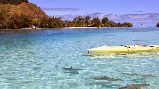 【スプラトゥーン２】 8/22 日課のガチマッチ[X] [S+]  リグマの相手も募集中