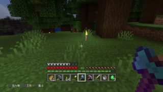 【マイクラ】(PS4)マインクラフトをひとりでまったりと。村つくりたいな。22