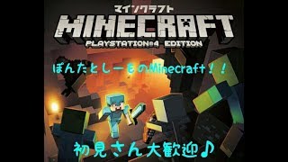 【深夜配信】サバイバル生活【マインクラフト】