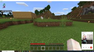 マインクラフト暇つぶしプレイ