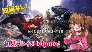 完全初見プレイなのでHelpme！【 モンスターハンター：ワールド 】PS4