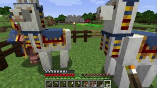 【マインクラフト】癒し系マイクラ　Part13　消えたんですけど