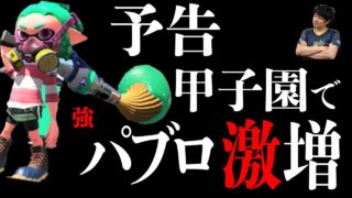 【スプラトゥーン2】次の甲子園はナワバリ最強パブロだらけになるのでは？プロ西澤が都市伝説を語る【激闘スプラファイター】