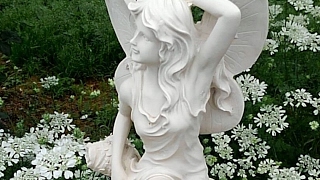 おいでよ！ 残酷村 雑談放送［マインクラフト]