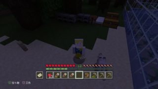 マインクラフト雑談[PS4]生配信！