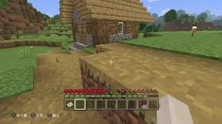 ［初見さん参加者大歓迎］初心者がサバイバルで頑張る［マインクラフト］