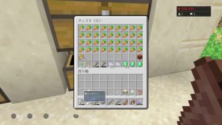 [マインクラフト]　注 マイク・チャット無し　ソロ・ガチ作業　気まぐれ者のスローライフクラフト　(8日目)　真夜中ライブ　寝たい人におすすめします