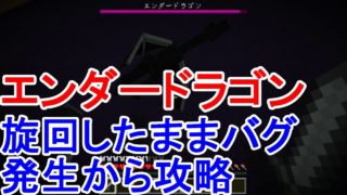 マインクラフト　エンダードラゴンの退治でバグが発生からの攻略。