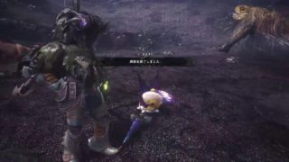 モンスターハンターワールド　環境生物捕まえてマイハウス作り