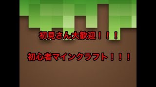初心者マイクラ！！！初見さん大歓迎！！！（マインクラフト）