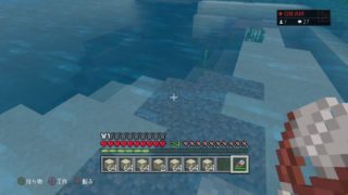 マインクラフト雑談［PS4］生配信！～続整地しまっする！～