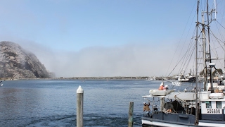 スプラトゥーン２　割と自信もって始めました