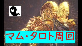 ＃50【MHW】参加　歴戦王マムタロト【PS4】モンスターハンターワールド　モンハン　mhw　狩り　アイスボーン