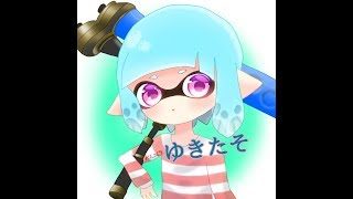 【スプラトゥーン2】初見歓迎参加型、ﾅﾜﾊﾞﾘ・ﾘｸﾞﾏ・ｻｰﾓﾝ募集です