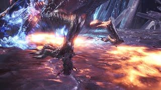 モンスターハンター：ワールド（ソロプレイ）／歴戦王ゼノ・ジーヴァ