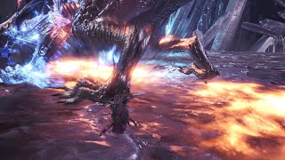 モンスターハンター：ワールド（ソロプレイ）／歴戦王ゼノ・ジーヴァ