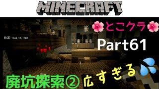 【苳子のマインクラフト】part61廃坑探索②蜘蛛多すぎでしょ‼蜘蛛。