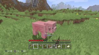 マインクラフトマイクラ＃1（もとっぺと配信）