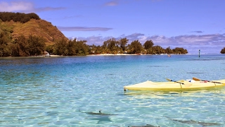 【PS4】まったりﾏｲﾝｸﾗﾌﾄ #267