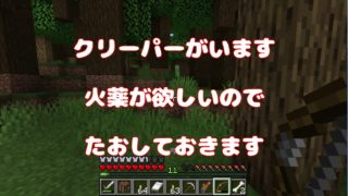 【マインクラフト】癒し系マイクラ　Part19　羊を