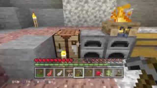 第２の人生を謳歌したい　マインクラフト　PS4