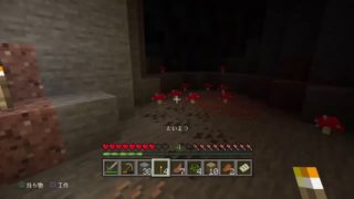 マインクラフト生放送！