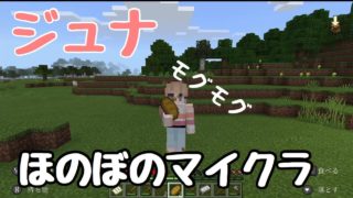 【マインクラフト実況】♡ジュナワールド開拓♡
