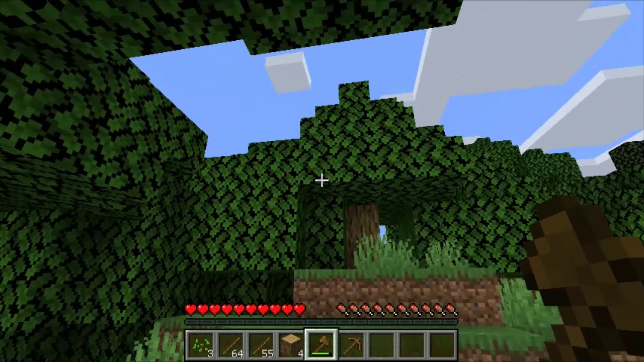 マインクラフトシリーズ　コロクラ　part1