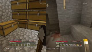 マインクラフト　　垂れ流し