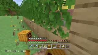 ブラックアウト民でマイクラ　PART4【マイクラ】【マインクラフト】【ライブ】【猛虎】