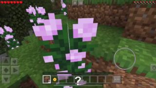 【実況】赫樹のマインクラフトpart1