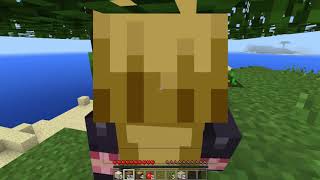 マインクラフト二日目　高いところから降りるとダメージ受けることを知る