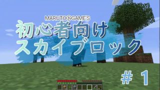 マインクラフト【MARUTOGame's】初心者向けスカイブロック