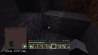 [マインクラフト]くちぱっちサバイバル