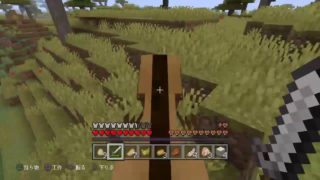 ～マインクラフト配信～