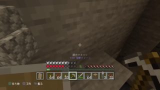 友達と一緒に【マインクラフト】