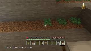 友達と一緒に【マインクラフト】