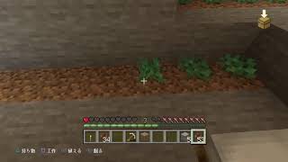 友達と一緒に【マインクラフト】