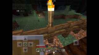 亀さんがやるマインクラフト Part3〜スイートベリー農園始めました〜