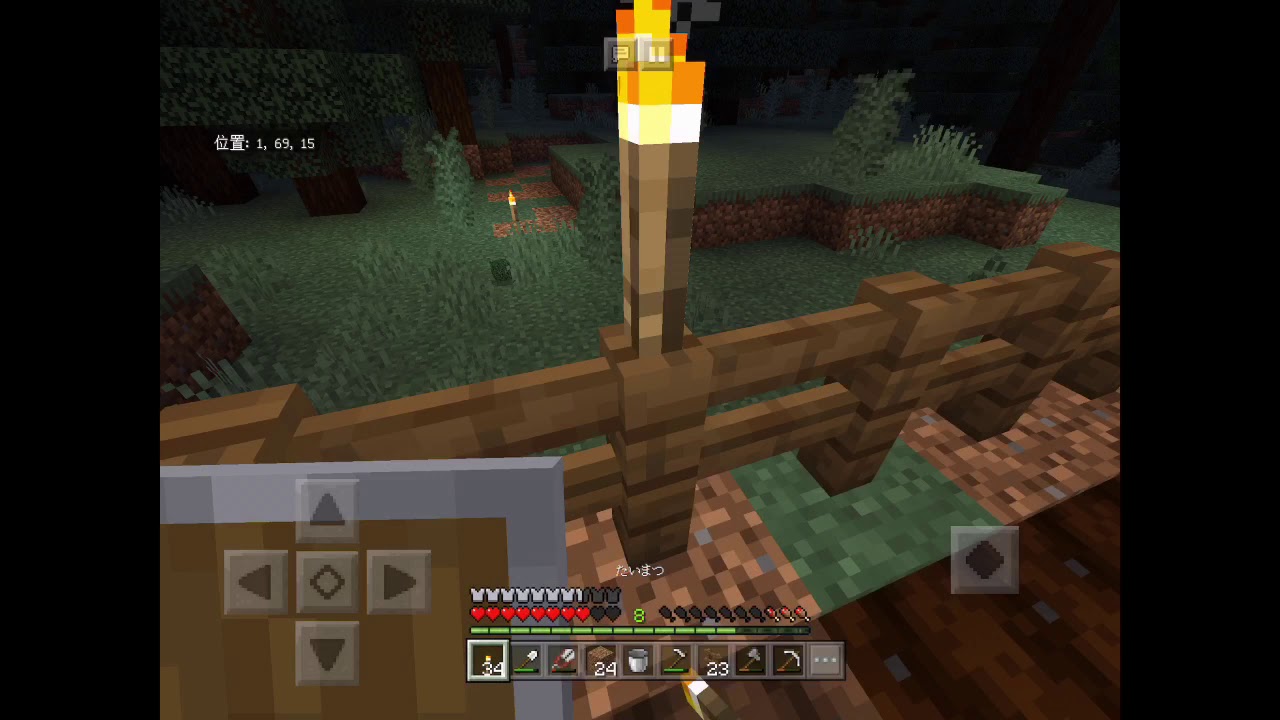 亀さんがやるマインクラフト Part3〜スイートベリー農園始めました〜